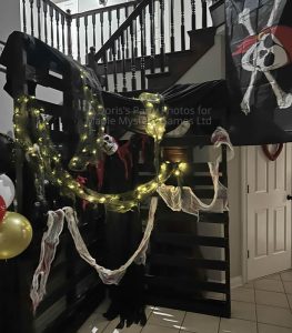 Doris's superb pirate party decorations